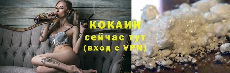 mega онион  Касли  COCAIN FishScale 