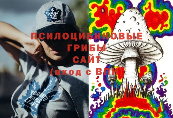 таблы Медногорск