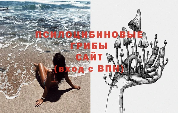 MDMA Premium VHQ Медвежьегорск